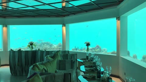 Underwater Restaurant _ Stock Footage