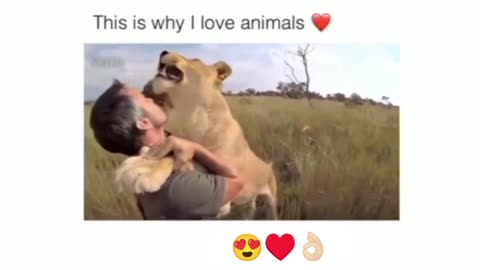 This is why I love animal viral video