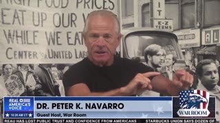 Peter Navarro: Cyber Warfare