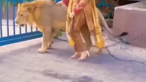Pet Lion 😍Dubai Queen Women Lifestyle #habibi #dubaiprincess