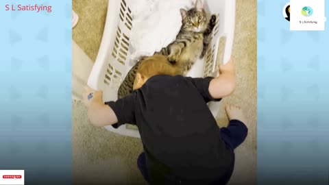 This Lady Adopted A Kitten For Her Toddler