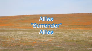 Allies - Surrender #119