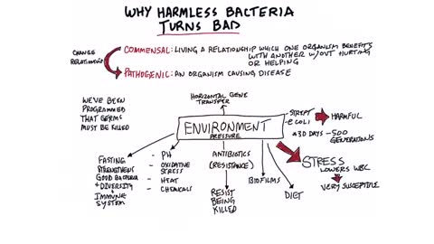 What Makes Good Bacteria Turn Bad