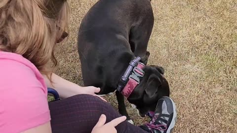 Max & Pearl Play Fetch