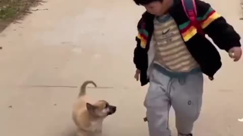 A lovely relation between dogs and humans