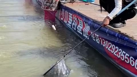 Best Asian Fishing Video 🐟 Weekend Fishing 🐟