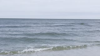 Bluebill Beach Naples, FL 11/18/22 PT 2 #4K #HDR #DolbyVision￼