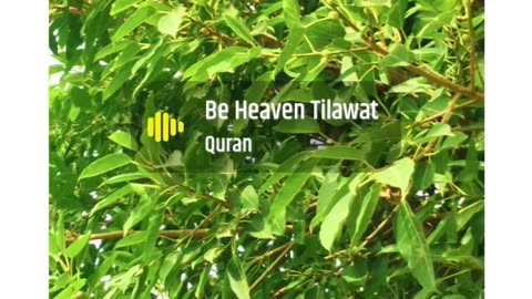 Tilawat e Quran