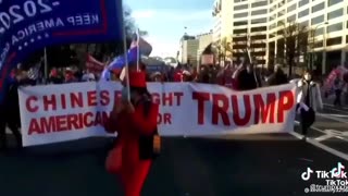 Fight 4 Trump!