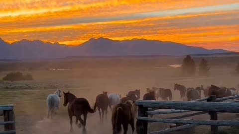 Wyoming , US 📍😍 A painting made by God 🙏🏻❤️