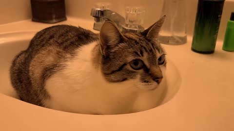 This sink belongs to me