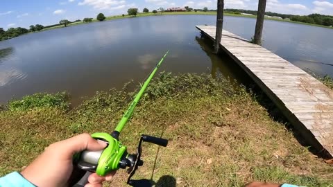 Fishing a BIG Swimbait for Pond MONSTERS!