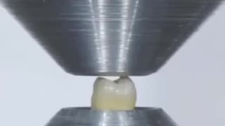 The strength of a human tooth 🦷