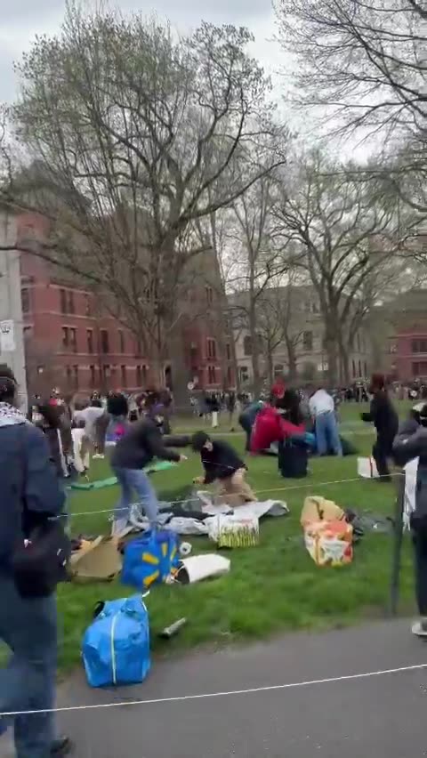 Pro-Palestinian Harvard Students Rush To Set Up An Autonomous Zone On Campus