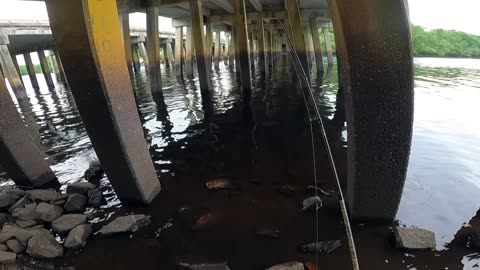 Bream Fishing From The Bank At Little Pee Dee River- Galivants Ferry, SC