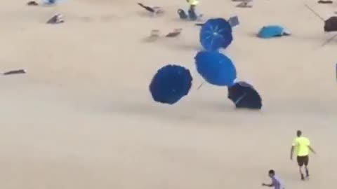 Umbrellas running along the beach