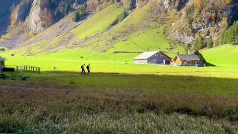 A calming morning walk in Switzerland