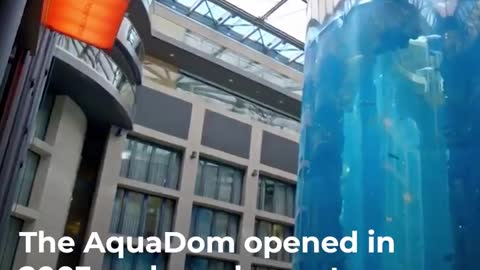 Huge AquaDom hotel aquarium explodes in Berlin