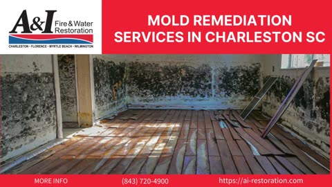 Mold Remediation Services in Charleston, SC