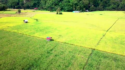 VIDEO BACKROUND VIEW OF THE FIELDS IN THE DESA