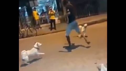 Defend against dog attack.