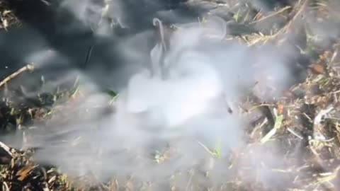 Mysterious Smoke Comes Up Through the Lawn