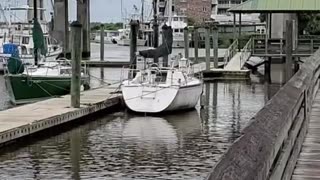 Shrimp Boats and the Family