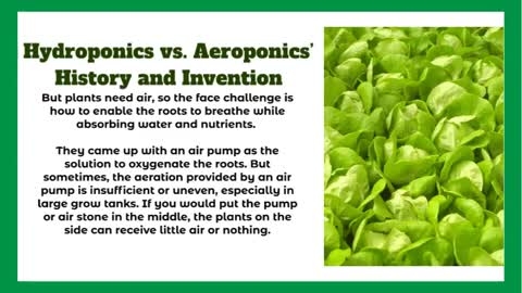 Hydroponic vs Aeroponic Gardening