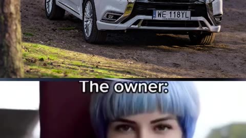 car and owner meme (mitsubishi edition