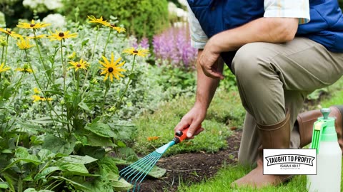 Stop Watering Weeds Of Negativity And Failure, Start Cultivating The Crops Of Success & Achievement!