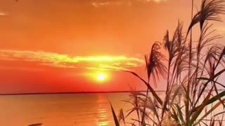 🔴 Relaxing Beautiful Piano Music For Meditation