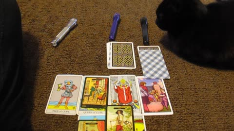 How Does Your BOSS View You?🙀 PICK A CARD Reading With Tarot Cards