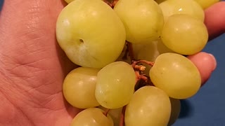 FRANKENSTEIN GRAPES 🍇