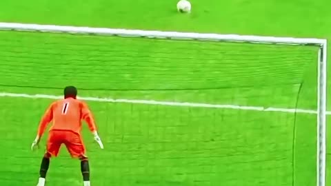 Incredible penalty Kicks