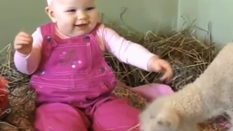 compilation | baby animals 79 | cute animals 79 | kids #shorts