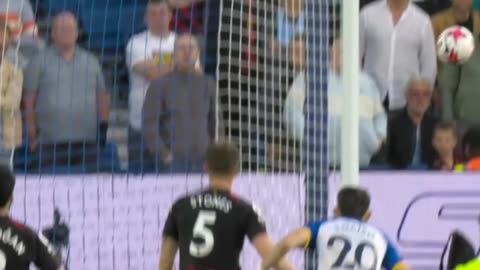 Highlights! Brighton vs Manchester city (1-1)