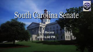 South Carolina Senate Constitutional Carry day 1 Part 2