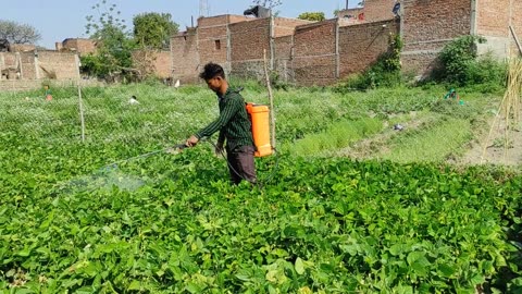 Indian Rural Life In Uttar Pradesh || Daily Routine In UP Village Life || Natural Life Style India