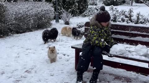 A boy playing in the snow. 😍😍😍