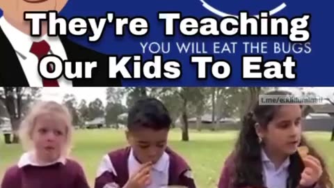 Teaching Children to Eat Bugs