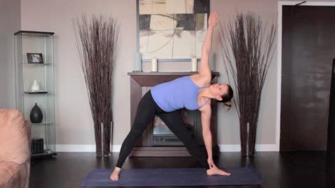 Free Yoga Videos Warrior-three-left Pose | Home Yoga Workout | Female yoga model