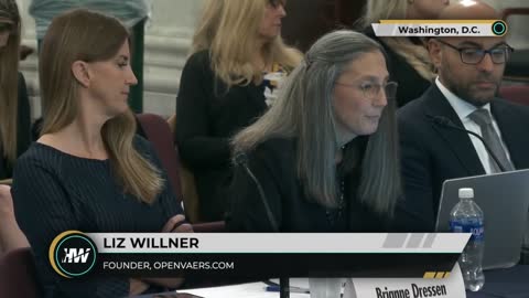 Founder of Open VAERS Liz Willner's Full Testimony- -Senator Johnson's Covid-19 vaccine roundtable