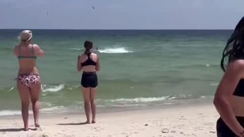 Shark Spotted In Shallow Waters At Perdido Key Beach, FL