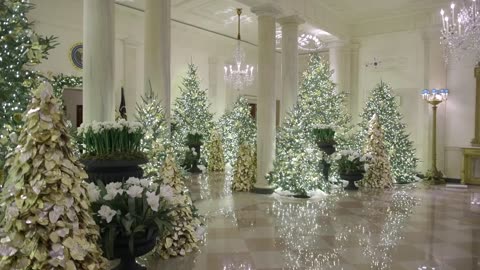 MELANIA TRUMP ~WHITE HOUSE CHRISTMAS 2020