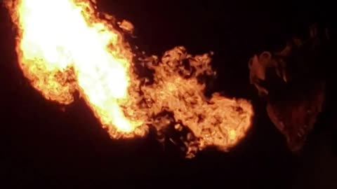 Dragon at Universal Studios appears to incinerate everything