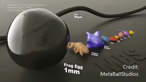 Comparing different-sized microorganisms by MetaBallStudios