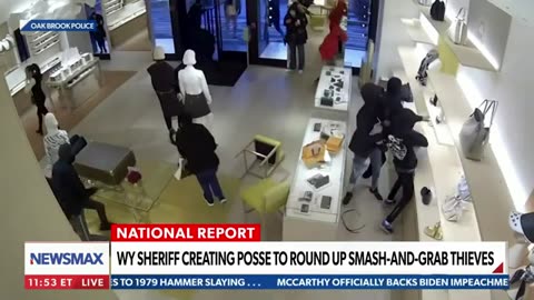 WATCH: Wyoming sheriffs creating posse to round up 'smash-and-grab' thieves | National Report