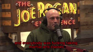 Bruce Lee Martial Art Legend | Dwayne Johnson | The Rock | Joe Rogan