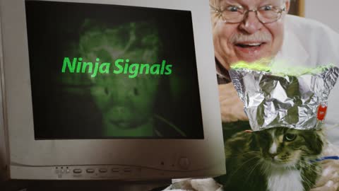 HOW TO PROFIT WHILE YOU SLEEP - NINJA SIGNALS