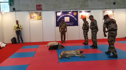 Demonstration of Dog Squad by Indian Army
